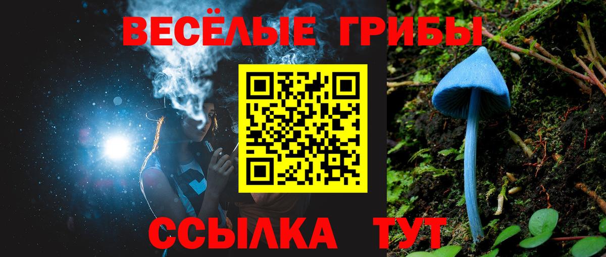 Галлюциногенные грибы GOLDEN TEACHER Каменск-Уральский