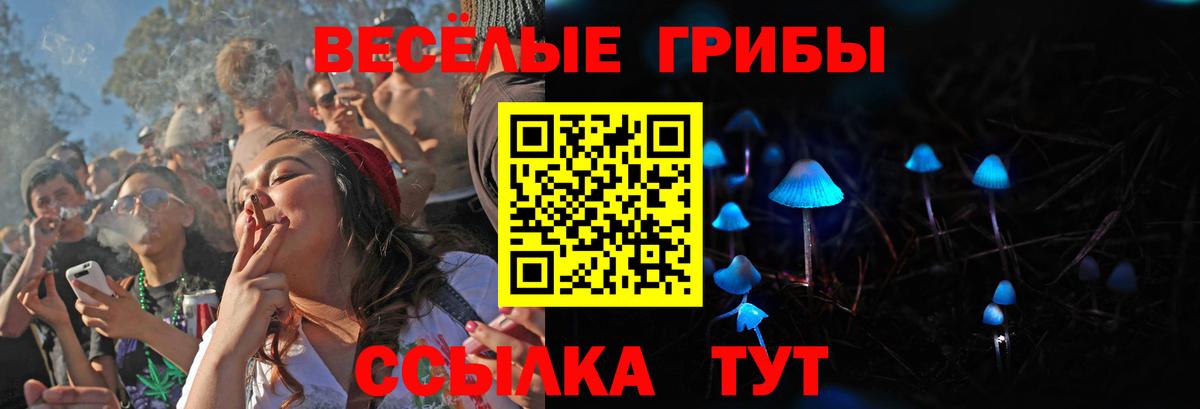 купить закладку  Вход с VPN  Каменск-Уральский  Галлюциногенные грибы Psilocybe 